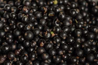 Similar image 22229615