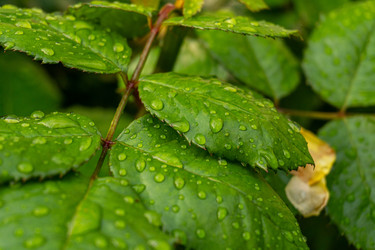 Similar image 22229617