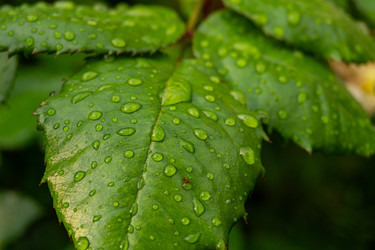 Similar image 22229618