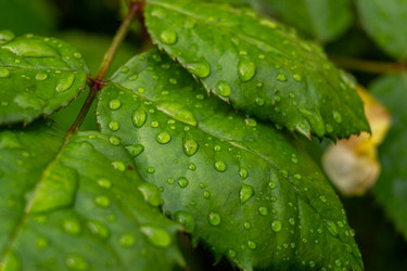 Similar image 22229619