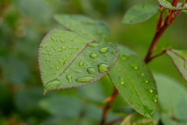 Similar image 22229620