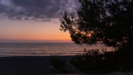 Similar image 22229625