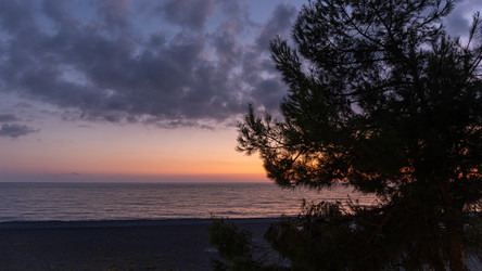 Similar image 22229626