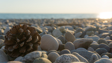 Similar image 22229627