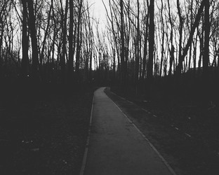 Similar image 22229629