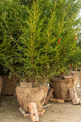 Similar image 22229499