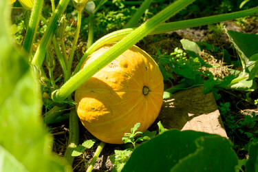 Similar image 22229634