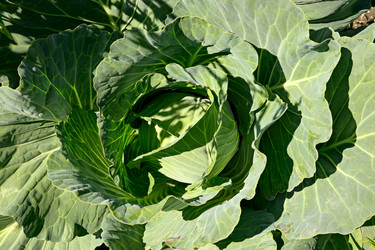 Similar image 22229635