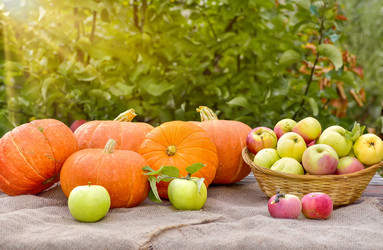 Similar image 22229636