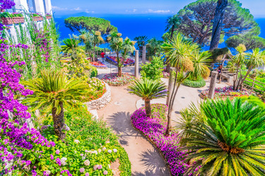 Similar image 22233053