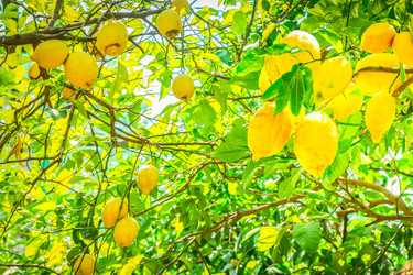 Similar image 22233058