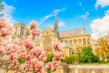 Similar image 22257828