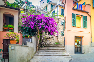 Similar image 22233066