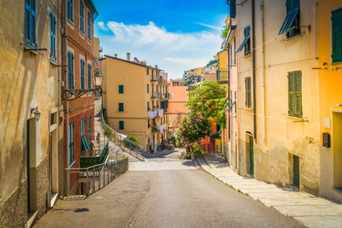 Similar image 22233077