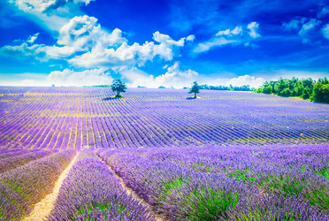 Similar image 22233084