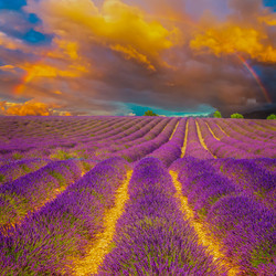 Similar image 22233087