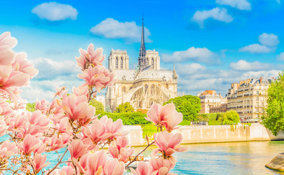 Similar image 22233088