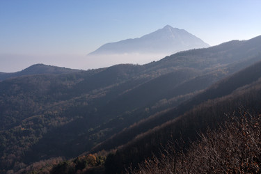 Similar image 22230521