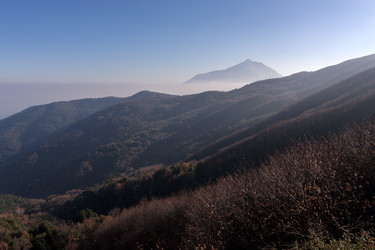 Similar image 22230522