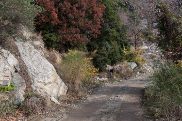 Similar image 22230530