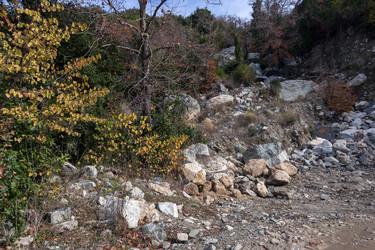 Similar image 22230531