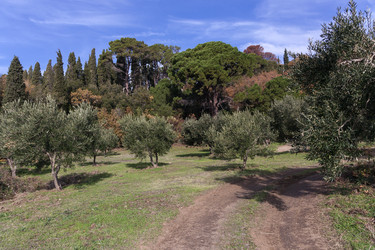 Similar image 22230535