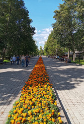 Similar image 22229428