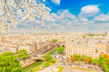 Similar image 22232881