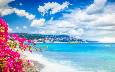 Similar image 22232889