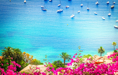 Similar image 22232894