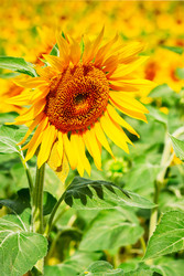 Similar image 22232895