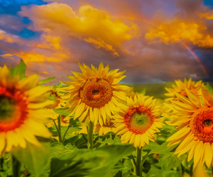 Similar image 22232896