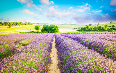 Similar image 22232897