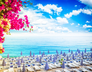 Similar image 22232899