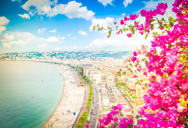 Similar image 22232900