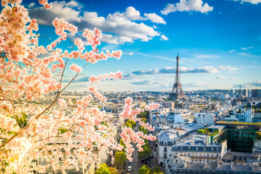 Similar image 22232906