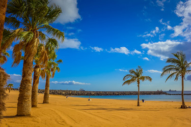 Similar image 22232909