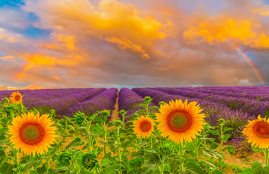 Similar image 22232913