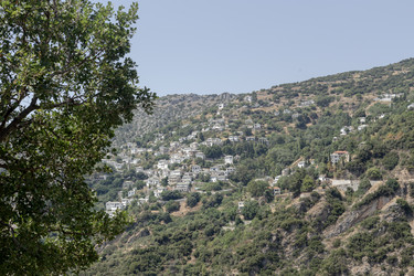 Similar image 22229653