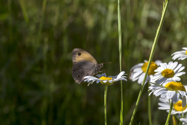 Similar image 22229654