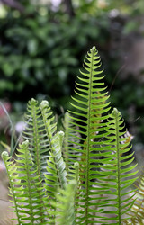 Similar image 22229655