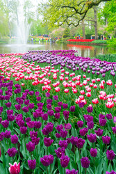 Similar image 22232919