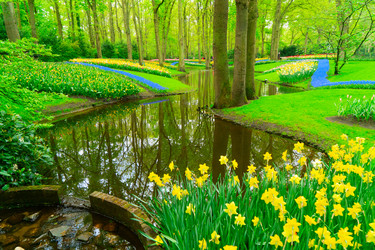 Similar image 22232920