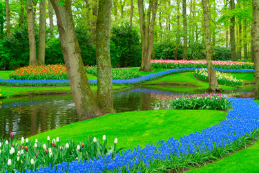 Similar image 22232921