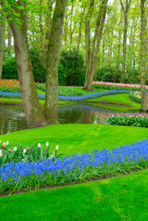 Similar image 22232922