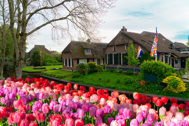 Similar image 22232925