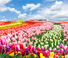 Similar image 22232926