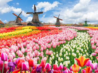 Similar image 22232927