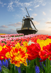 Similar image 22232928