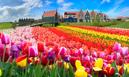 Similar image 22232929